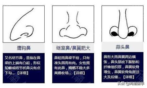 鼻子相|史上最全的面相五官“算命”图文详解（精品收藏）